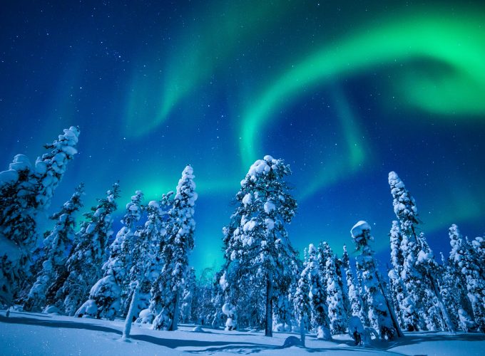 Wallpaper Lapland, Finland, winter, snow, tree, night, northern lights, 5k, Nature 554994217